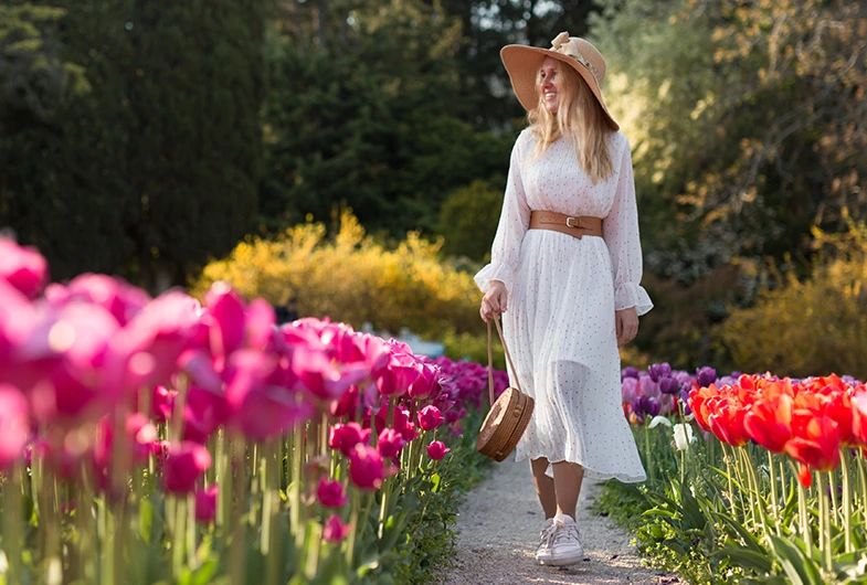 Język niderlandzki dla początkujących – poziom A1